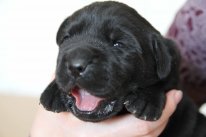 фотография Лии, детская газета