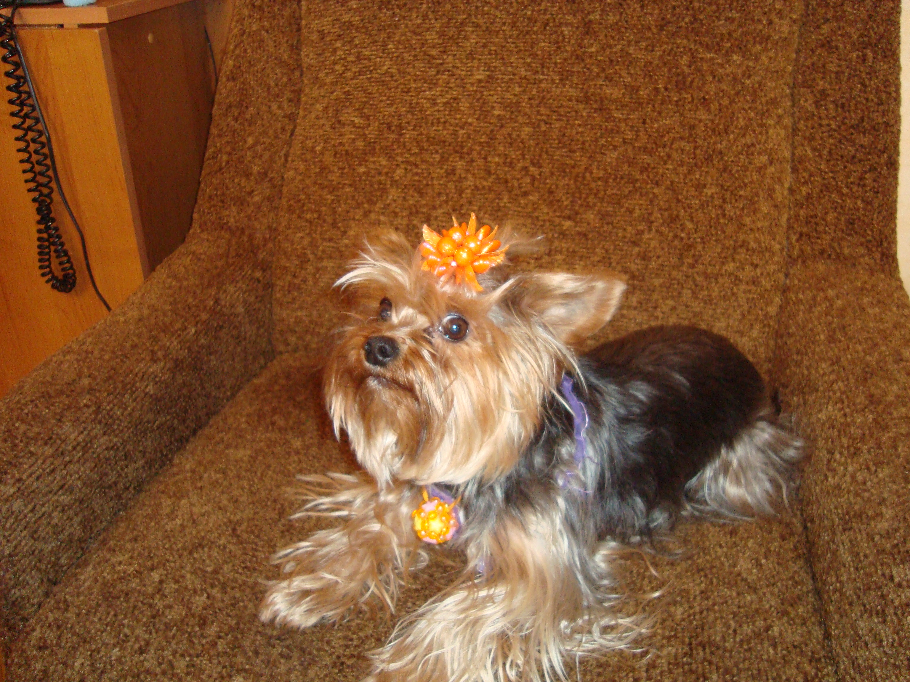 Гоша, фотография Кристины Бондаренко, детская газета