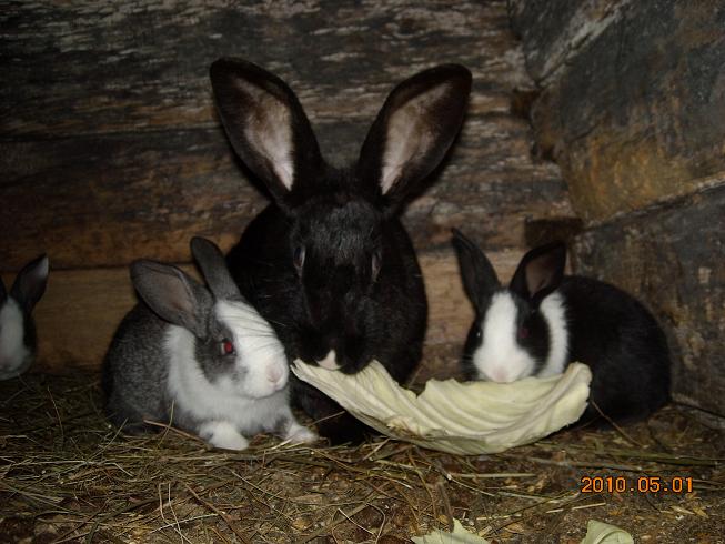 фотография Юли Игнатович, детская газета