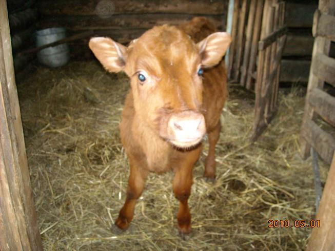 фотография Юли Игнатович, детская газета