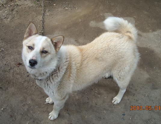 фотография Юли Игнатович, детская газета