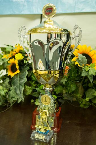 Золотая шайба, детская газета