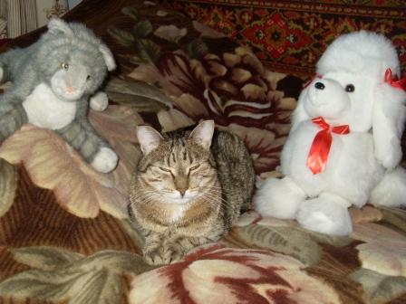 Светлана Царинных, котёнок, библиотека детской газеты