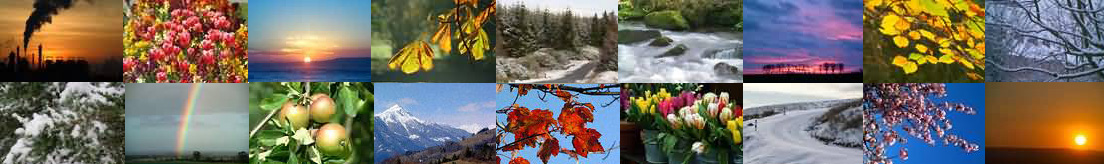 детская газета, Земля, восход, закат, радуга, горы, лес, цветы, ягоды, деревья, дорога