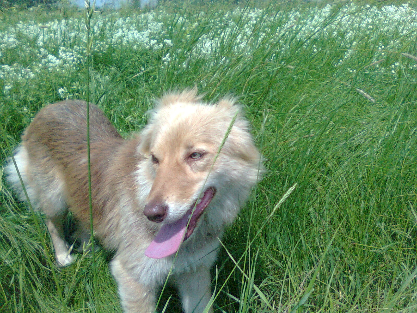 детская газета